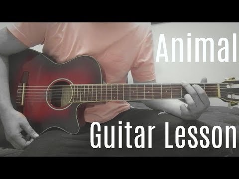 Troye Sivan - Animal | Guitar Lesson (Tutorial) | How To Play Chords (with or without capo)