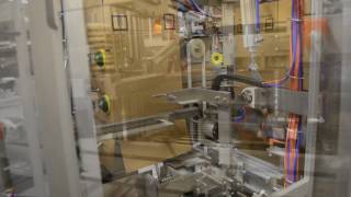 Bottom Load Case Packer for Frozen Pizza | Massman Automation