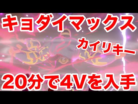 ポケモンソード キョダイマックスのすがた カイリキー の出現場所 最速分で入手できる裏技を公開 高個体値4v以上を確定でゲットだぜ 最新作の攻略実況プレイ Youtube