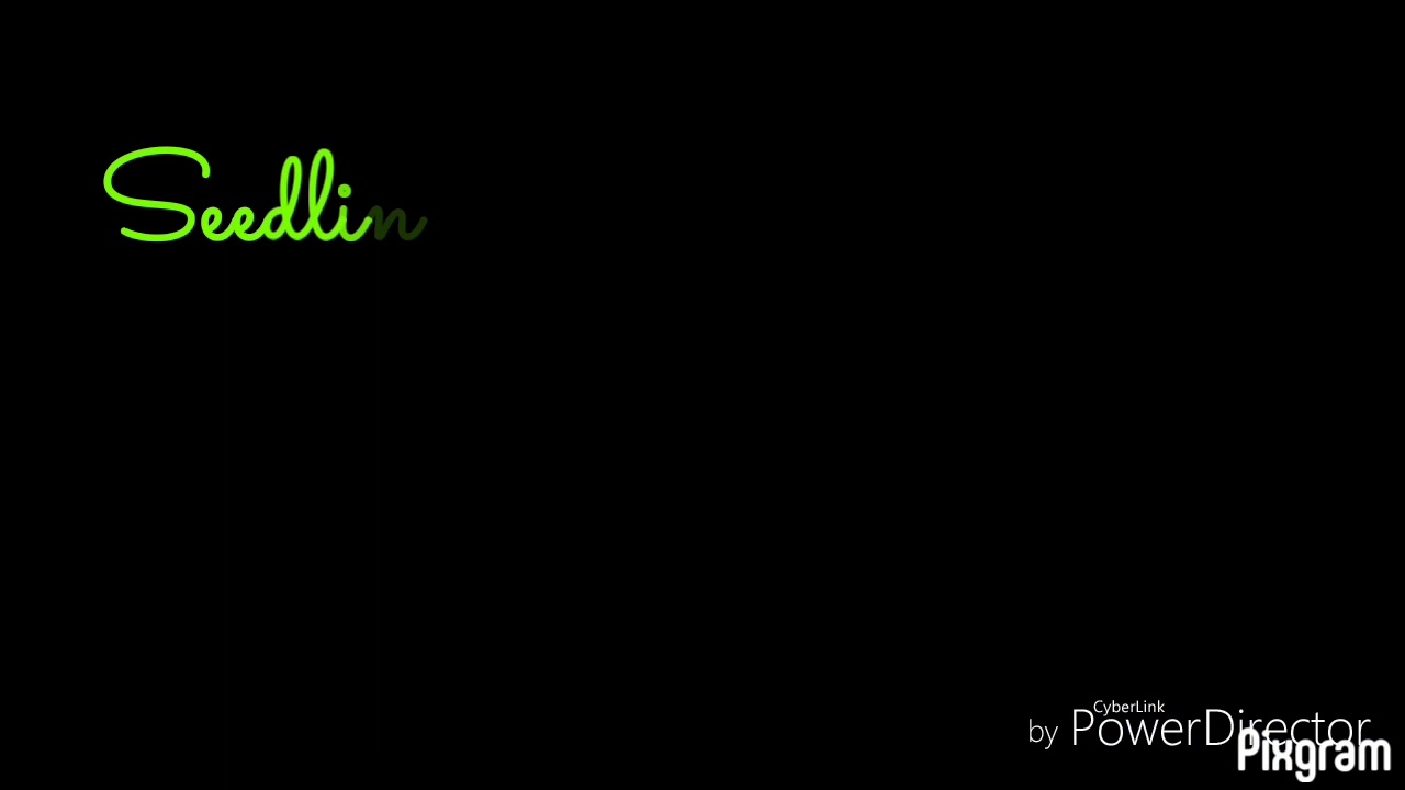 Day 1-26 Seedling Time Lapse. (Teaser!)