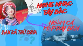 Nhạc sàn thái tây bắc mới nhất | nhạc hay|cảnh đẹp