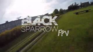 Fpv - Dog Race
