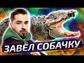 HARD PLAY СМОТРИТ СОЮЗ СМЕХА 8 МИНУТ СМЕХА ЛУЧШИЕ ПРИКОЛЫ ДЕКАБРЬ 2020