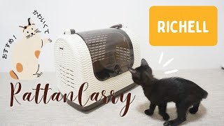 リッチェルのラタンキャリーの口コミレビュー！【デザインが可愛い猫用ハードキャリーバッグ】