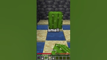 How To Get Started On The HARDEST Minecraft Server!