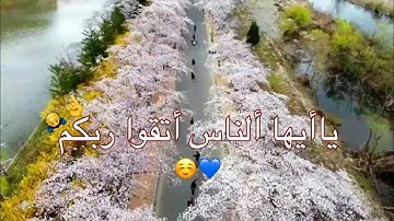 ان زلزلت الساعة هذا شيء عظيم القارئ نور الدين سليم  الناسحالات وتساب قصيرة مقاطع اسلامية