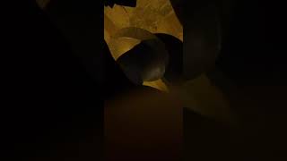 Paranormal Live : (Part 1/4) Arasz Hunting @ Bukit Gasing Petaling Jaya v18 - (S18E01)
