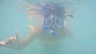 The ONLY Snorkeling Tour in Waikiki. Only $39! FREE VIDEO AND PICTURES! Over 900 5 star reviews!! 