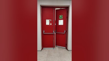 Panic bar door double door