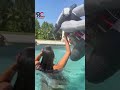 جورجينا تسقط في حمام السباحة بشكل عفوي جدا 