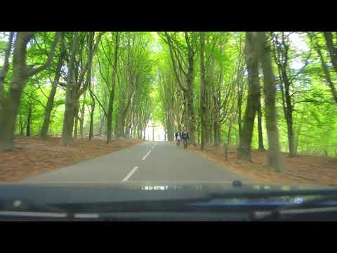 Drive Away: Rozendaal - Posbank - Biljoen - Zypendaal