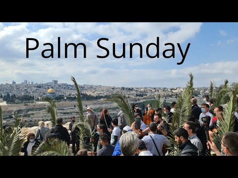 Video: Palm Sunday kuni palmalar nima qiladi?