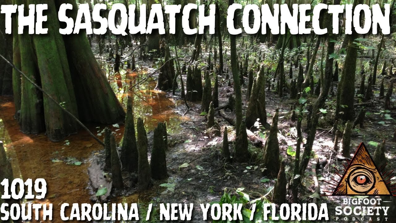 The Thing That Touched the Tent at Seneca Lake | Bigfoot Society 1019