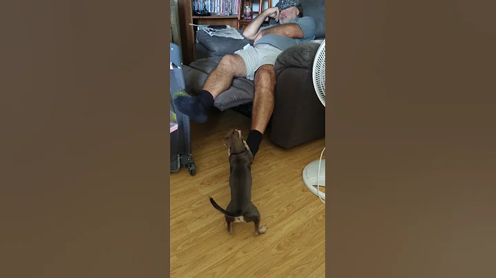 Chino and Daddy