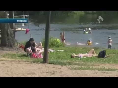 Невеста утонула на собственной свадьбе. Москва