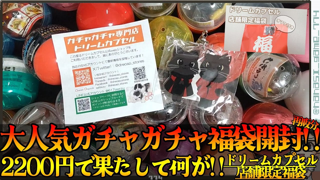 【ガチャガチャ】大人気ガチャガチャ福袋開封!!ドリームカプセル限定２２００円で果たして何が!!