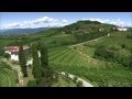 Il panorama vitivinicolo del Friuli Venezia Giulia.mp4