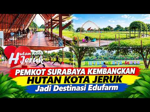 Pemkot Surabaya Kembangkan Hutan Kota Jeruk Jadi Destinasi Edufarm