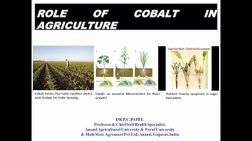 ROLE OF COBALT IN AGRICULTURE-DR P.C. PATEL