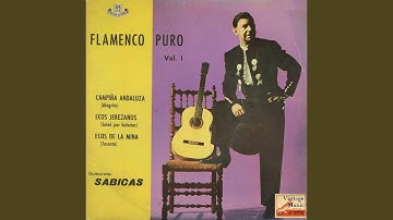 Thumbnail of Campiña Andaluza (Alegrías)