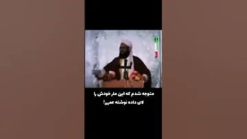 فقط حلال زاده شناخت حیدر و اولادش را نظرتون رو کام نت کنین شیعه امیرالمومنین خدا ایران یاعلی 