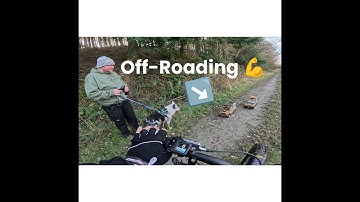 Mortimer Forest | Part 1 | Awesome 4 x 4 Action | Nicolai S16 MGU