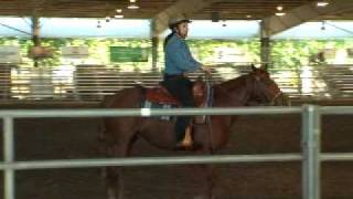 Equinevip Meets Julie Goodnight At The Equine Affair