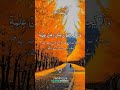 Ayatul-Kursi آیت الکرسی #shorts #ayatulkursi #alquran #islamicproductions #viralvideo