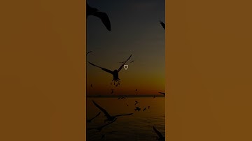 سورة الناس بصوت الشيخ فارس عباد