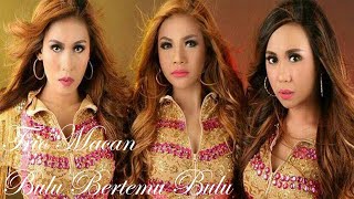 Trio Macan - Bulu Bertemu Bulu