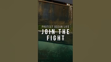 What is Bottom Trawling