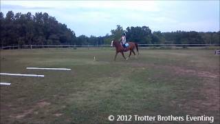 Salvatore Trotter Blaze Doing Gymnastics 07062012