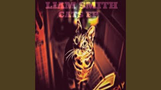 Cats (Original Mix)