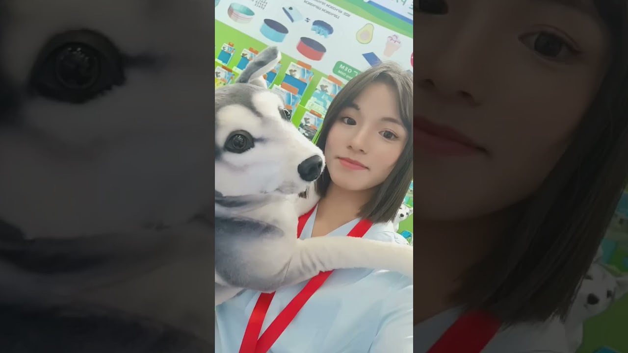 I'm a English translator in China