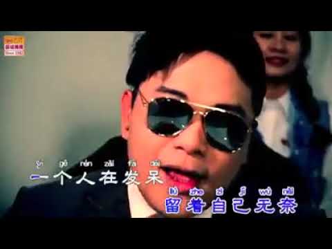tiktok网络歌曲牛在飞