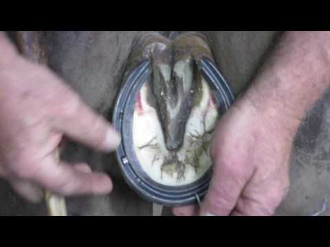 Video: How To Nail A Horseshoe