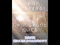 【天才的サビ歌詞】徳永英明の「僕らに与えられた時代の中で」