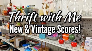 SUCH A COOL FIND! THRIFT WITH ME AT GOODWILL + NEW & VINTAGE THRIFTED HAUL!