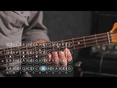 how-to-play-c-♯-/-d-flat-minor-scale-|-bass-guitar