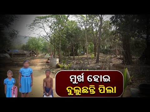 ସ୍କୁଲ ଯିବାକୁ ହେଲେ  ୪ କିଲୋମିଟର  ବାଟ ଚାଲିବାକୁ ପଡିଥାଏ, ଏବେବି ପରାଧୀନ ପାତ୍ରଭାଗ ଓ କନ୍ଧବଡଭୂମି