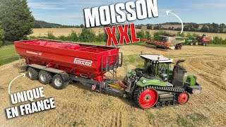 🤩 MOISSON XXL en FRANCE FENDT 1167MT & TRANSBORDEUR 52m3 + 2 12M ! 😱😱