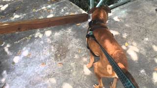 IMG 8757