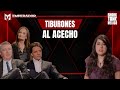 Emprendimientos que cautivaron a más de un tiburón 🦈😍 | Shark Tank México