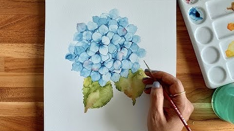 Skillshare Class - Hydrangeas in WatercolorsA Step-by-Step Approach for Beginners