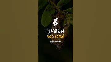 القارئ أسامة خالد أبو رميلة #تلاوة_خاشعة #المصحف #اكسبلور