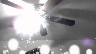 Capture 20111205 2