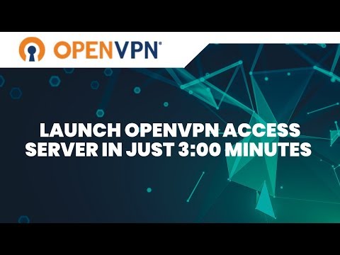 Launch OpenVPN Access Server in Just 3 Minutes