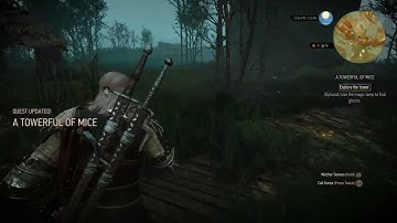 The Witcher 3 - A Towerful of Mice: Reach Fyke Island: Use Magic Lamp To Find Ghost Gameplay PS5 4.0