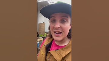 Overrun with Predators! #predators #predatorcontrol #trapping #chickens