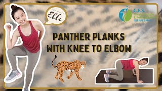 Panther Plank with Knee to Elbow | 膝肘觸碰黑豹式平板 | Ask Physio Elli